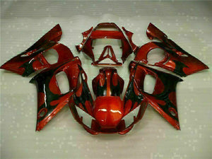 NT Europe Injection Mold Brown ABS Kit Fairing Fit for Yamaha 1998-2002 YZF R6 g028