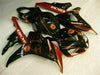 NT Europe Bacardi Injection Orange Black Plastic Fairing Fit for Honda Fireblade 2006 2007 CBR1000RR CBR 1000 RR u010