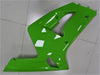 NT Europe Aftermarket Injection ABS Plastic Fairing Fit for Kawasaki ZX6R 636 2003-2004 Green N017